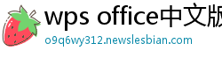 wps office中文版